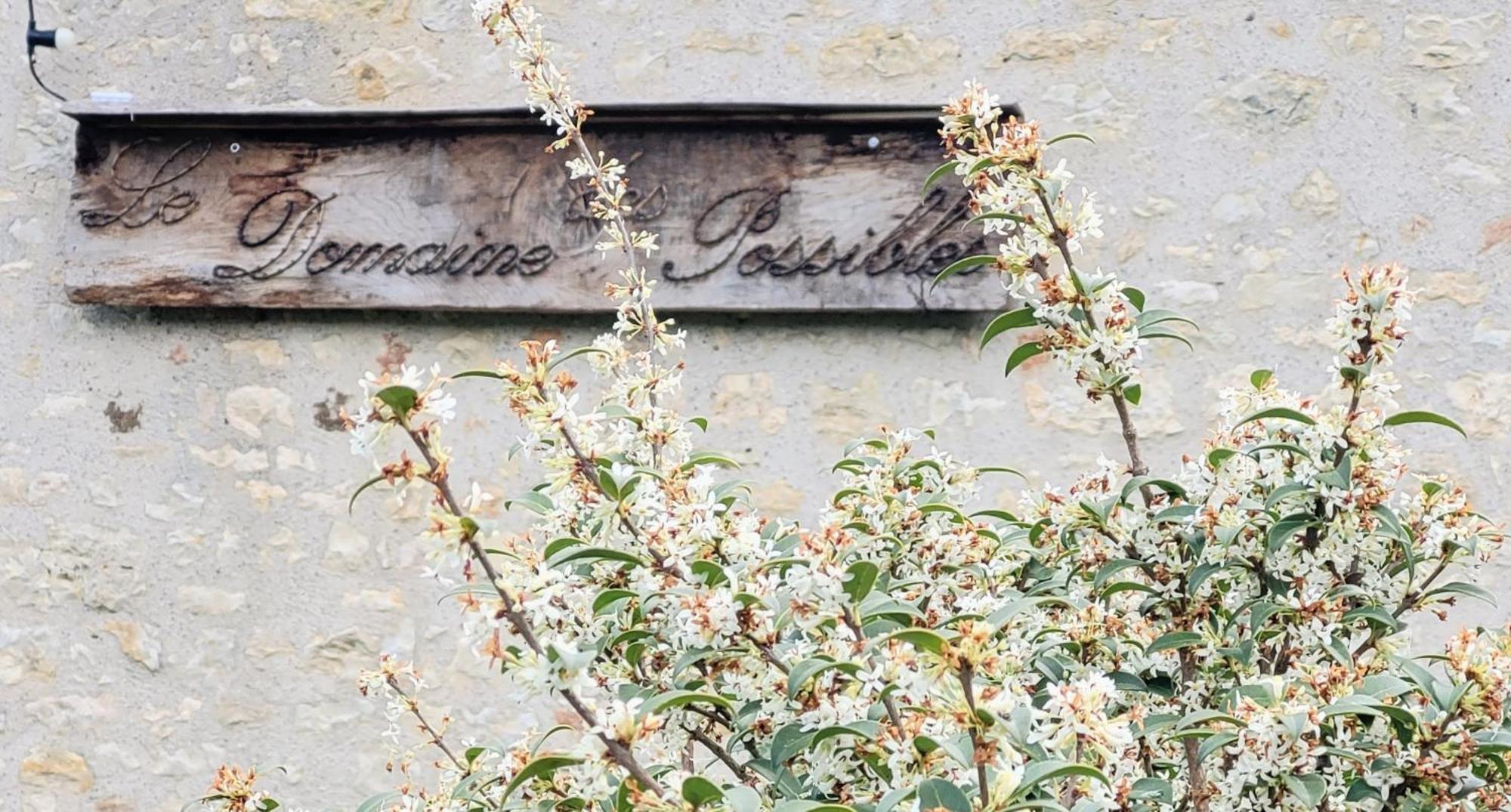 Domaine Des Possibles - Equi Home Montayral Eksteriør bilde